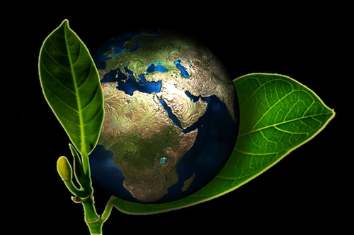 Green-Cleaning-and-Supplies--in-Hialeah-Florida-Green-Cleaning-&-Supplies-1063656-image